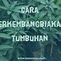 Tumbuhan Yang Dapat Berkembangbiak Dengan Geragih Atau Stolon Adalah